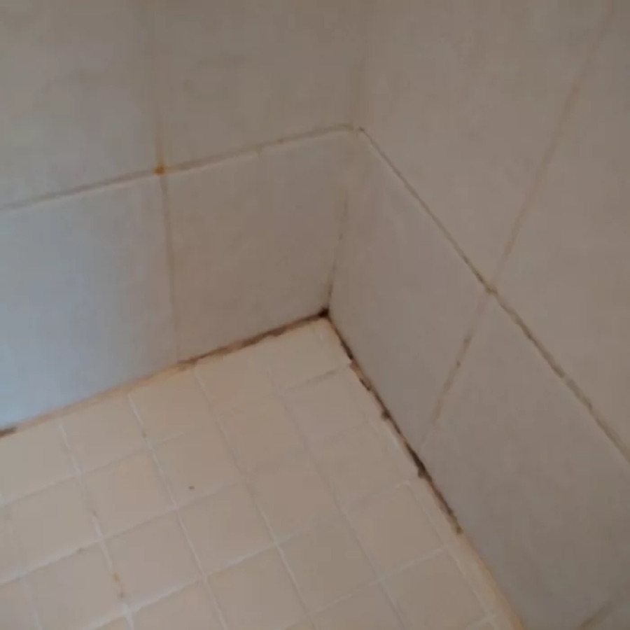 Dark mildew in the caulk at a tile shower corner