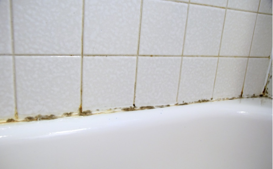 Mildew stains along the caulk line where a tub meets the tile