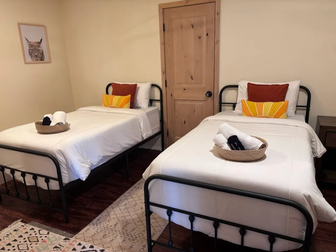 Pair of black metal twin bed frames