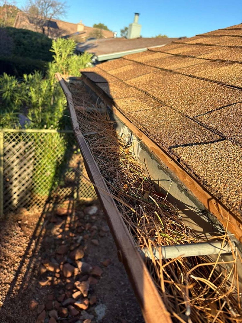 Gutter packed with pine needles before cleaning