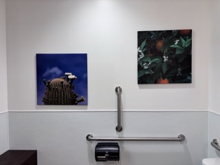 Canvas artwork hung in a commercial restroom