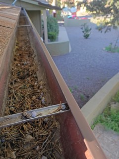 Juniper needles and berries clogging a gutter