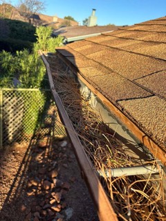 Gutter packed with pine needles before cleaning