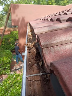 Leaves and debris filling a gutter under a tile roof
