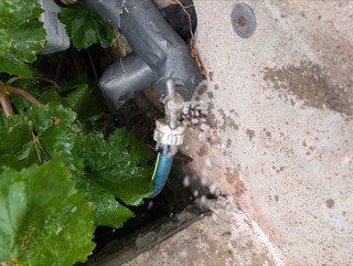 Leaking outdoor water spigot found during a home watch visit