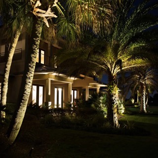 LED uplighting on palm trees in front of a home at night